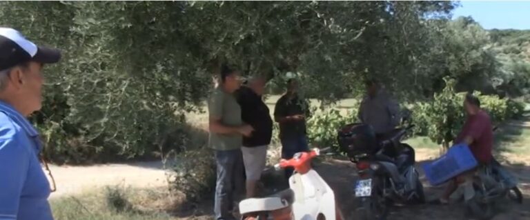 Σταφιδοπαραγωγοί Αβραμιού Μεσσηνίας:”Για το φιλότιμο & μόνο καλλιεργήσαμε φέτος σταφίδα” (video) Σταφιδοπαραγωγοί Αβραμιού Μεσσηνίας:”Για το φιλότιμο & μόνο καλλιεργήσαμε φέτος σταφίδα” – “Στον αέρα” ακόμα η τιμή της- Κ. Κατσούλης: “Να αναλάβουν όλοι τις ευθύνες τους” (video)